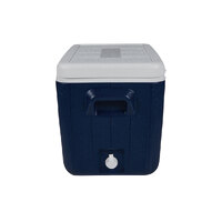 Companion 45 Litre Cooler image