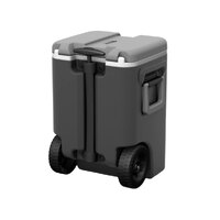 Coleman Daintree 25 Litre Keg Cooler image