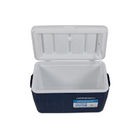 Companion 45 Litre Cooler image