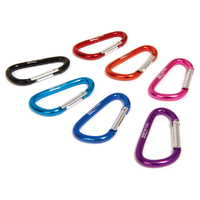 Elemental Mini Link Carabiner image